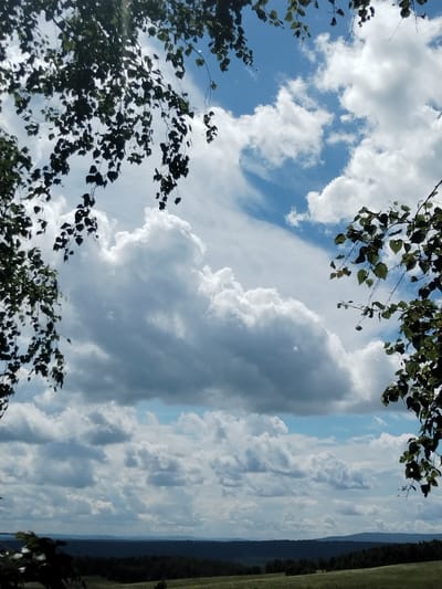 This media file showcases a scenic view of the sky above a rural landscape in Chebarkul', Russia. The primary subjects are the dramatic, billowy white clouds set against a vibrant blue sky, with patches of lighter blue and streaks of cirrus clouds suggesting a dynamic weather system. The clouds are illuminated by bright sunlight, indicating it is daytime, likely late morning or early afternoon.
In the foreground and framing the sky, are branches of trees with dark green leaves, appearing to be birch trees, characteristic of the region. The leaves are lush and varied in their presentation, with some appearing in sharper focus than others, adding depth to the composition.
Below the sky, a rolling landscape unfolds. The mid-ground features a dark, dense line of trees, likely a forest, which transitions into rolling hills or fields in the foreground, rendered in shades of green and brown. The distant horizon is marked by a hazy, muted line of hills or mountains.
There are no people or specific objects clearly visible, and no text is present. The overall mood is one of natural beauty and tranquility, with the vastness of the sky and the serene landscape evoking a sense of peace. The weather appears to be partly cloudy and bright, with the sunlight casting a cheerful glow on the scene. The location cues, such as the type of trees and the rolling terrain, are consistent with a rural setting in Russia.