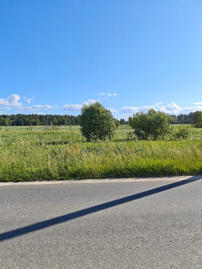 The image depicts a rural scene under a clear blue sky with scattered white clouds. In the foreground, a paved road runs horizontally, casting a long shadow from an unseen object to the right. Beyond the road, a vibrant green meadow stretches into the distance, filled with tall grass and wildflowers. Two dense green bushes are prominent in the mid-ground, with a line of trees forming a dark horizon in the background. The overall impression is one of a peaceful, natural landscape in the countryside. The location is identified as Kovrigino, Russia.