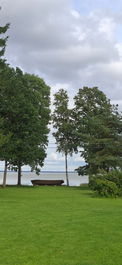 The image shows a grassy yard next to a body of water under a cloudy sky. In the foreground, there is a well-maintained green lawn. Several trees with lush green foliage are scattered across the yard. To the right of the frame, a bush with pink flowers is visible. In the middle ground, beyond the lawn and trees, is a calm body of water, possibly a lake or sea, with a distinct horizon line. The sky is overcast with soft, diffused light, suggesting it might be morning or afternoon on a cloudy day. A rustic wooden boat is resting on the shore or in the shallow water, leaning against a tree trunk. The overall scene evokes a sense of peacefulness and natural beauty. There is no visible text in the image. The location is likely Valma, Estonia.