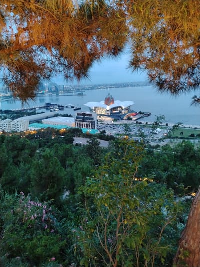 The image captures a panoramic view of the Baku Bay area in Sabail Raion, Azerbaijan, as dusk settles. In the foreground, the silhouettes of pine tree branches frame the scene, their needles a mix of earthy brown and green against the fading blue sky.

Beyond the trees, the Baku skyline unfolds. Dominating the middle ground is the iconic Heydar Aliyev Center, its distinctive white, flowing architecture illuminated and appearing as if it's about to take flight. Adjacent to it, a large parking lot is filled with cars. The Caspian Sea stretches out in the background, its surface calm and reflecting the twilight sky. Several boats and yachts are moored in the bay, and a long pier extends from the shore towards the Heydar Aliyev Center.

Further into the city, residential buildings are visible, some with lights beginning to twinkle. The overall impression is one of a modern city transitioning from day to night, with the natural beauty of the bay meeting the architectural grandeur of its urban landscape. The lighting suggests it is either early morning or late evening.