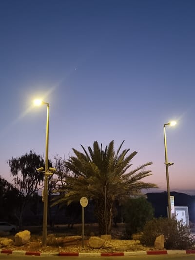 The image captures an outdoor scene in Ramat Negev Regional Council, Israel, at dusk or dawn. Two streetlights illuminate the area with a warm glow against a sky transitioning from blue to pink. A palm tree stands prominently in the middle ground, with other trees and shrubs forming the background. A curb with alternating red and white stripes is visible on the right side of the frame. The image is taken from a low angle, emphasizing the height of the streetlights and the palm tree.