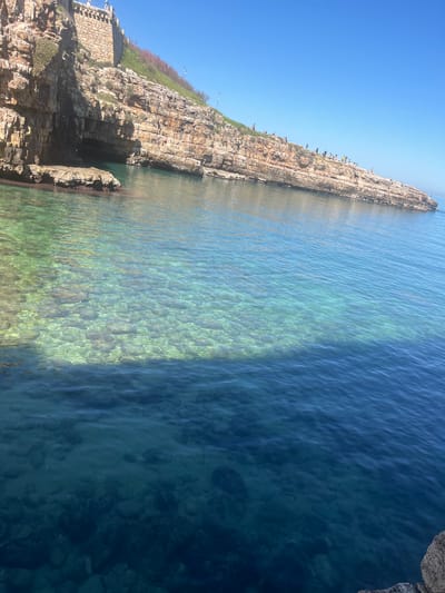 The image depicts a coastal scene in Polignano a Mare, Italy, known for its dramatic cliffs and clear waters. A long, rocky cliffside dominates the left side of the frame, with distinct geological layers and vegetation along the top edge. Some people are visible on top of the cliff. To the left is a fortified-looking wall with a staircase leading up to it. The water transitions from a shallow, transparent green near the cliff to a deeper, blue hue further out, revealing the rocky seabed beneath. The sky is clear and blue.