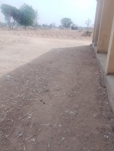 The image depicts a dry, open outdoor scene in Kanwa, Nigeria, adjacent to a light-colored building. The foreground features dusty, light-brown soil sparsely covered with small, irregular fragments of wood or plant matter. A long shadow from the adjacent building extends diagonally across the ground from the lower right to the mid-left. The building itself, visible on the right, is a pale, possibly concrete structure with multiple vertical recesses or pillars. Beyond the immediate foreground, a vast, dry field with visible parallel rows, indicative of agriculture or recent harvest, extends into the midground. In the background, several scattered trees with varying densities of foliage are visible, alongside a small, dark, rectangular structure, possibly a shed or hut, situated towards the right within the distant field. The sky is hazy and appears uniformly light. No individuals or active interactions are present in the frame.