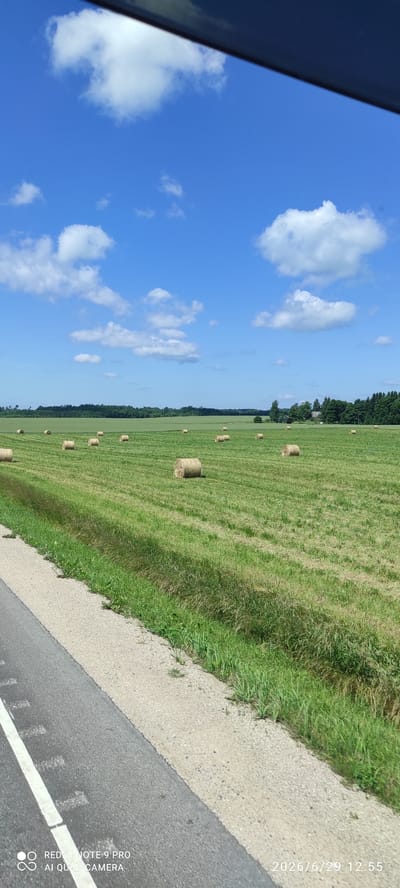 A vertical, eye-level, medium shot captures a rural landscape under a bright blue sky dotted with fluffy white clouds. The foreground is dominated by a paved road with a white line marking its edge, curving slightly away from the viewer and towards the right. Adjacent to the road is a strip of gravel and then a vibrant green field. This field is the primary focus, scattered with numerous round hay bales, varying in size and density. Beyond the field, a line of dark green trees marks the horizon, with a few buildings visible amongst them. The scene appears to be in the city of Vagula, Estonia, given the timestamp present in the image which reads "2026/6/29 12:55". No people are present in the image.