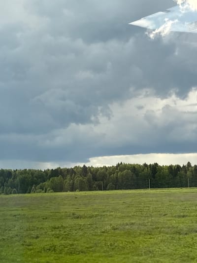 The image presents a view of a grassy field adjacent to a forest under a cloudy sky. It seems unlikely that there is enough information to pinpoint a specific location in Kukushtan, Russia, or to confirm that the image was taken there at all. The focus is primarily on natural elements: grass, trees, and clouds. There are no people or discernible interactions visible. The presence of possible utility poles at the edge of the forest hints at some human infrastructure.