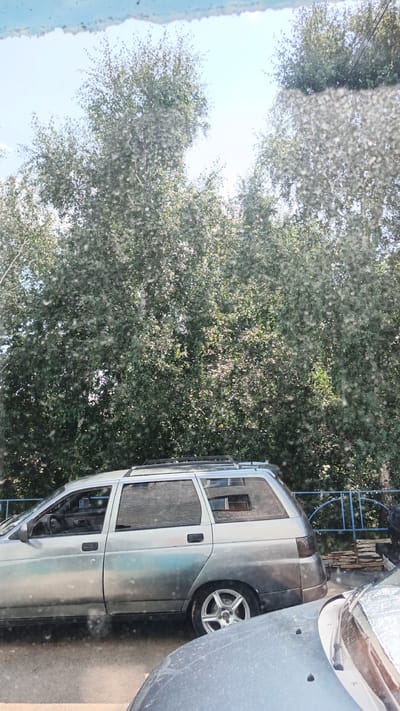 In Baymak, Russia, on a bright, cloudy day, a silver station wagon is parked on a street. The car's windows are partially obscured by white specks, possibly pollen or dust. A row of lush green trees with dense foliage forms the background, with some sunlight filtering through the branches. A blue metal fence runs along the edge of the property behind the car, separating it from stacks of wooden planks. The front of another car is visible in the foreground, partially obscuring the station wagon.