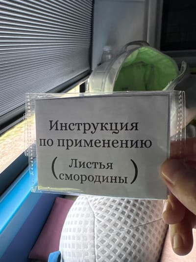 A hand holds a transparent plastic bag containing a white paper with the Russian text "Инструкция по применению (Листья смородины)" printed vertically. The background includes a gray, ribbed surface, a white bag with a green interior, and a patterned white fabric on a blue surface. The location, Pờ Y, Vietnam, is not evident from the image.