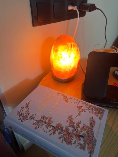 The exact location within the city of Bazan, Bulgaria, cannot be determined from the image. The scene depicts an indoor setting, likely a bedside table or desk, illuminated by artificial light.

In the foreground, a light-colored book with a decorative cover lies flat on a wooden surface. The cover features gold-colored Cyrillic text that translates to "Pride and Prejudice" by "Jane Austen," along with intricate floral and bird motifs in shades of orange and brown. A dark blue tassel bookmark hangs from the left side of the book.

Behind the book, to the right, a glowing orange Himalayan salt lamp rests on the same wooden surface, emitting a warm, soft light. Further back and to the right of the lamp, a dark-colored wireless charging station is positioned, with a device (likely a smartphone) upright on its charging pad. A red indicator light or cable tip is visible near the base of the charging station. A clear glass containing an amber liquid and a slice of fruit (possibly lemon or orange) is partially visible behind the charging station.

Above the salt lamp and charging station, a segment of a light-colored wall is visible, featuring a horizontal triple-gang electrical outlet panel in black. Two of the outlets are occupied: one by a white USB charger with a white cable extending downwards, and the other by a black power adapter with a black cable also extending downwards.