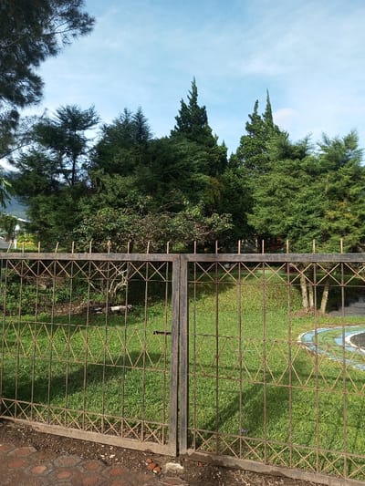 This image depicts an outdoor scene in Salai Har Htan, Myanmar, under clear daylight conditions. A dark-colored, weathered metal gate, composed of two panels featuring a geometric pattern of squares with internal diagonal crosses, stands closed in the foreground. The gate's upper frame is topped with regularly spaced, short, vertical finials. Behind the gate, a well-maintained green lawn is visible, exhibiting shadows cast by the gate structure. To the left, a dense cluster of green shrubs and smaller trees is present, partially obscuring a lighter-colored, bare tree or branch structure. To the right, a curved segment of a multi-colored (blue and white) paved or painted surface is partially visible on the grass. The background is dominated by numerous evergreen trees, including several prominent conifers with pointed tops, beneath a light blue sky with minimal, wispy white cloud cover. A paved area with reddish-brown, possibly hexagonal, pavers is visible in the immediate foreground at the bottom left. No individuals, animals, or active subjects are present.