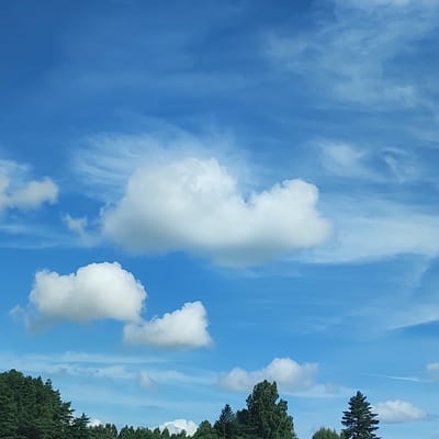 The image depicts a bright, clear blue sky with scattered white clouds. Wispy cirrus clouds are visible in the upper portion of the frame, while larger cumulus clouds are present in the mid-ground and lower-mid ground. The bottom of the image shows a line of green trees, indicating a landscape or natural setting. There are no people or man-made structures visible in the image, suggesting an outdoor, possibly rural or park-like environment. The scene is consistent with a daytime setting on a pleasant day, with good visibility and natural lighting. The location is identified as Bystri, Russia.