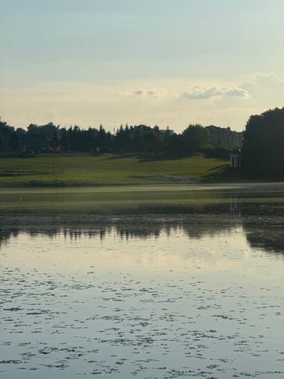 This is a photograph taken from the shore of a lake in Sukhanovo, Russia. The water in the foreground is calm with scattered debris on the surface and reflects the sky and the scene on the opposite shore. The middle ground shows the lake's surface with a green hue, indicating shallow water or aquatic vegetation. Beyond the lake, a gently sloping green lawn is visible, dotted with trees and several large houses. On the right side of the lawn, a white classical-style gazebo stands prominently. The background consists of a dense line of trees, and further back, more houses and buildings are nestled amongst the foliage. The sky above is a pale blue with scattered clouds, suggesting it is either early morning or late afternoon. There are no people visible in the frame.