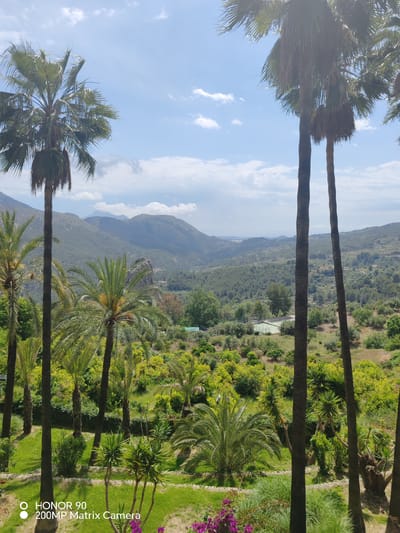The image depicts a scenic view of El Castell de Guadalest, Spain. The foreground features a verdant landscape with palm trees, lush vegetation, and manicured lawns. In the mid-ground, a tennis court is visible, nestled amidst the greenery. The background showcases rolling hills and mountains under a partly cloudy sky.