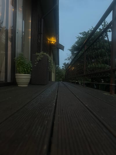 An outdoor wooden deck extends diagonally from the bottom left corner of the frame toward the upper right. A dark brown railing with ornate metalwork borders the right side of the deck, separating it from a backdrop of dark green trees under a twilight sky. On the left side of the deck, a small green plant in a white pot sits next to a taller, dark brown woven planter. A modern building with dark wood siding and a large window is visible behind the planters. A single outdoor light fixture is attached to the building. The overall scene depicts a quiet, natural setting, possibly a private residence or a secluded area within a park.