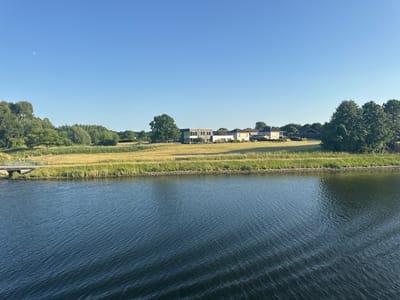 This is a horizontal, eye-level, medium-wide shot of a canal in Sehestedt Süd, Germany. The water in the foreground is dark blue with ripples creating a textured surface. The far bank of the canal has a narrow strip of green grass, followed by a wider expanse of dry, yellow grass. Beyond the field of dry grass, there are several modern houses with large windows and grey roofs, some with balconies. In the distance, a line of trees forms a backdrop to the houses. A single large tree stands to the left of the houses. The sky is a clear, light blue with a sliver of the moon visible in the upper left quadrant. A small bridge with a metal railing spans a section of the canal on the left side of the image. The overall scene is serene and depicts a residential area bordering a body of water.