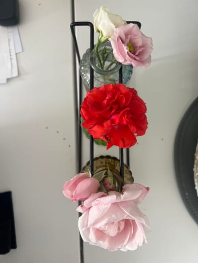 A close-up, vertical shot shows a small arrangement of flowers in three small glass vases held by a black metal rack, which is mounted on a white wall. The flowers are white and pink lisianthus at the top, a red rose in the middle, and two light pink roses at the bottom. The background consists of a plain white wall with a few small dark specks. To the left of the flowers, a black object is partially visible, and further left, a stack of white papers is also visible. To the right, a dark, circular object with a textured edge is present. The lighting suggests an indoor setting. This image was taken on or around the date of capture in Kilpedder, Ireland.