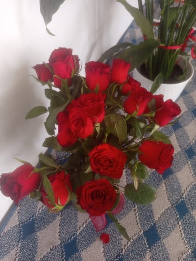 A close-up, high-angle shot shows a bouquet of red roses arranged in a clear vase. The roses are vibrant and fully bloomed, with some unopened buds. They are clustered together, with green leaves and stems visible. The vase appears to be made of pink glass. The bouquet rests on a patterned surface, possibly a tablecloth, with a blue and white diamond design. In the background, out of focus, is a white pot containing a green plant with long, thin leaves. A thin, red ribbon is tied around the plant. The overall impression is one of a decorative arrangement, likely intended for a special occasion. The image does not contain any elements that would suggest a specific location within the city of Samat, Kyrgyzstan.