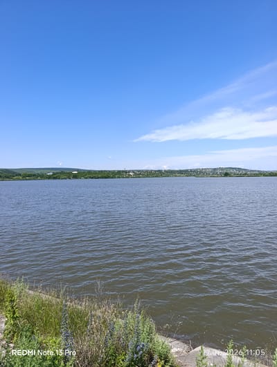 This is a landscape photograph of a wide body of water under a clear blue sky with a few wispy clouds. The water has a rippled surface, suggesting a gentle breeze. In the distance, a tree-lined shore is visible, with a small town or village nestled on the hills beyond. The vegetation along the immediate foreground of the shore is lush and green, with some wildflowers adding splashes of color.
The scene appears to be set during the daytime, likely late morning or early afternoon, given the bright sunlight and clear sky. The weather is fair and pleasant. The location is Dănceni, Moldova, as indicated by the presence of a town on the opposite shore of a body of water, consistent with geographical features of the area.
The image has a serene and peaceful quality, capturing a quiet moment in nature. There are no people or specific objects of interest in the foreground, focusing the viewer's attention on the natural landscape.
Visible text includes "REDMI Note 13 Pro" in the bottom left corner and "17.06.2026 11:05" in the bottom right corner, indicating the device used to capture the image and the date and time it was taken.