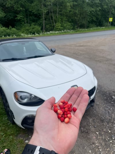 In the foreground, a person's open hand holds a cluster of wild strawberries. Behind the hand and strawberries, the front of a white convertible sports car is visible. The car is parked on a gravelly surface next to a paved road. In the background, a dense line of trees borders the road, with a yellow speed limit sign visible on the right side of the road. The location is the city of Bolshaya Izhora, Russia.