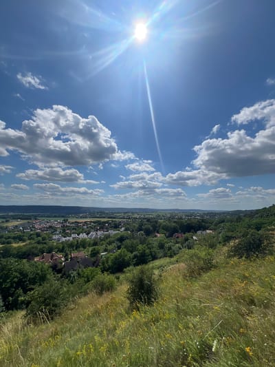 The image depicts a panoramic view of Karniowice, Poland, on a sunny day. The foreground is dominated by a grassy hill covered in tall, dry grass and scattered yellow wildflowers, indicating a warm, dry season. In the midground, a suburban area with a dense cluster of red-tiled roof houses is visible, interspersed with lush green trees. Further in the background, the landscape transitions into a more open area with scattered buildings and fields, leading to a distant, undulating horizon of green hills. The sky is a vibrant blue, dotted with fluffy white cumulus clouds. The sun is high in the sky, casting bright rays and creating lens flare. There are no people or animals visible in the scene. The overall impression is one of a serene, rural landscape bathed in bright sunlight.