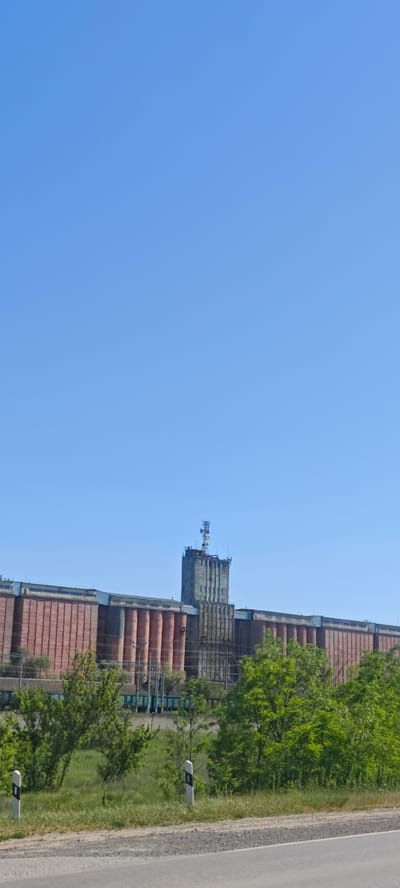 The image shows a large grain elevator complex in Dubovskoye, Russia, under a clear, bright blue sky. The buildings are predominantly red and gray, consisting of long, horizontal structures with cylindrical silos. A central tower rises above the complex, topped with communication antennas. Green trees and foliage are visible at the base of the structure, adjacent to a road marked with guard posts.