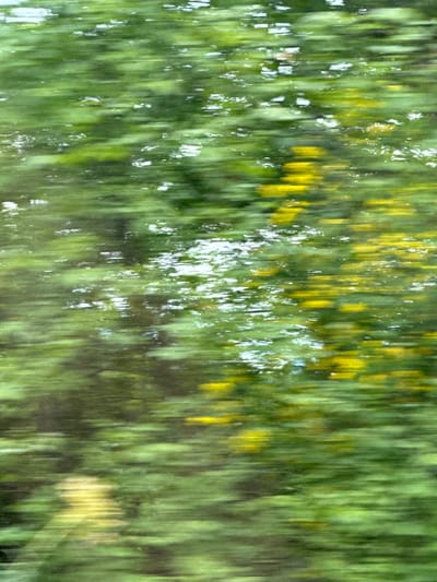 The image presents a blurred view of foliage, predominantly green with hints of yellow, possibly depicting trees or bushes in a state of motion. The blurry nature of the image makes it difficult to identify specific details, but the presence of green and yellow suggests vegetation. There is no evidence to confirm the location as Donji Ulići, Montenegro or any specific place. No people, objects, or actions are identifiable.