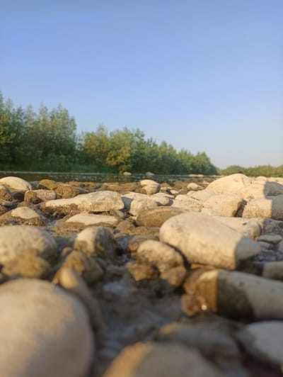 The image is a low-angle, close-up shot of a riverbed filled with smooth, light-colored stones. Some of the stones are partially submerged in shallow, muddy water. In the background, a line of green trees borders the river, and beyond that, a clear blue sky dominates the upper portion of the frame. The lighting suggests it is daytime, likely late afternoon due to the warm glow on the stones. The scene depicts a natural environment, possibly a river in or near the village of Kniazhdvir, Ukraine. There are no people or animals visible in the image.