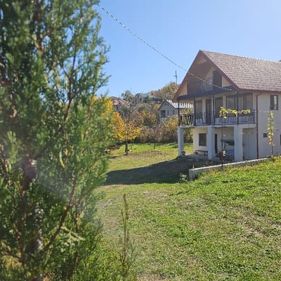 The image depicts an exterior residential scene in Buriani, Georgia, captured on a clear, sunny day, likely in autumn given the yellow foliage. In the foreground, a large, out-of-focus evergreen shrub occupies the left side, obscuring part of the view. The ground is covered by green grass, exhibiting shadows cast by the sun.
In the midground, a two-story, light-colored (white or cream) house stands prominently on the right. It features a gabled roof covered with reddish-brown tiles. The upper level includes an open balcony with black metal railings and large dark-framed windows or glass doors. Below, the lower level has a recessed porch area supported by two white pillars. This lower porch contains a blue and white striped swing seat and a plain wooden bench positioned against the rear wall. Vines with yellowing leaves are trained on horizontal wires above the lower porch. A small, low concrete or stone retaining wall is situated in front of the lower level of the house.
Beyond the main house, the midground transitions to a grassy area leading to a line of trees and shrubs, several of which display bright yellow autumn leaves. A small, partially obscured red object, possibly a bench or table, is visible beneath these yellow-leafed trees. The background reveals a rolling or hilly landscape with additional residential structures sparsely distributed on the distant incline. Overhead, a utility pole and thin power lines stretch horizontally across the upper portion of the frame, traversing the clear blue sky. No individuals are present in the scene, and no specific actions or interactions are depicted.