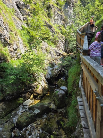 The image depicts a wooden walkway constructed along a rocky, verdant gorge in Landl, Austria. The walkway, made of weathered planks and railings, follows the contours of the steep gorge, which is characterized by lush green vegetation, including grass and trees, growing on its rocky slopes. A small stream or river flows through the bottom of the gorge, with water visible amongst moss-covered rocks.
Several people are present on the walkway. In the foreground, a person wearing a pink and white striped shirt with the text "LIVING SWEET LIFE" is visible from behind, facing away from the camera. To their left, another person's legs in grey shorts and another person's legs in blue shorts are visible. Further up the walkway, a young person in an orange t-shirt and black shorts stands on a section of the stairs, holding a white bag. The background shows more of the gorge's rocky terrain and dense greenery. The scene is illuminated by natural daylight, casting shadows on the walkway and rocks.