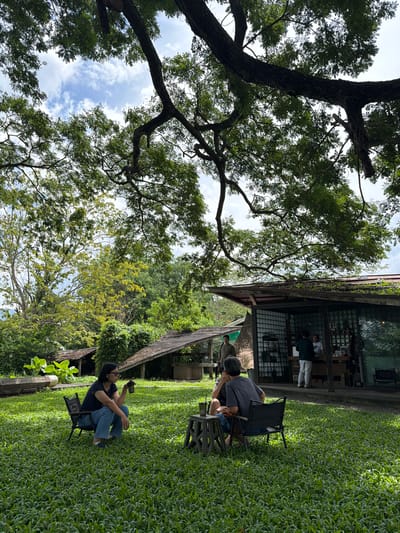 In Tambon San Phi Suea, Thailand, two individuals are seated on lawn chairs in a lush green grassy area under the canopy of a large tree. The woman on the left, wearing a dark t-shirt and blue jeans, is squatting slightly while holding a cup. The man on the right, dressed in a grey t-shirt and blue jeans, is seated and facing away from the camera. A small table with a beverage sits between them. In the background, a modern building with a glass facade serves as a cafe, with several people visible inside and near the counter. Another rustic structure with a wooden roof is situated to the left of the cafe, surrounded by dense foliage. The scene is characterized by a natural, relaxed outdoor setting.