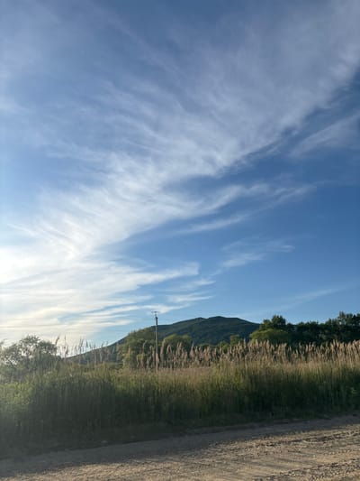 In Kalinino, Russia, a dirt road fronts a vast expanse of tall, dry grass and reeds, illuminated by the soft light of a late afternoon sun. Behind the reeds, a dark green, tree-covered hill rises, its peak silhouetted against a bright blue sky streaked with wispy white clouds. A solitary utility pole stands on the hill's lower slope, its wires stretching horizontally across the frame. The overall impression is one of serene natural beauty and a quiet rural landscape.