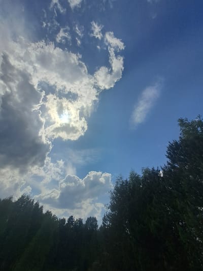 The image shows a daytime sky with varying cloud cover and bright sunlight, with tree foliage bordering the upper right. The sky transitions from a clear blue to areas dominated by dense, white and gray clouds. The sun is partially obscured by clouds, creating a bright halo effect. The trees on the right edge appear to be tall and dense, their leaves a dark green. The location is potentially Avdot’ino, Russia. No people, specific actions, or interactions are visible.