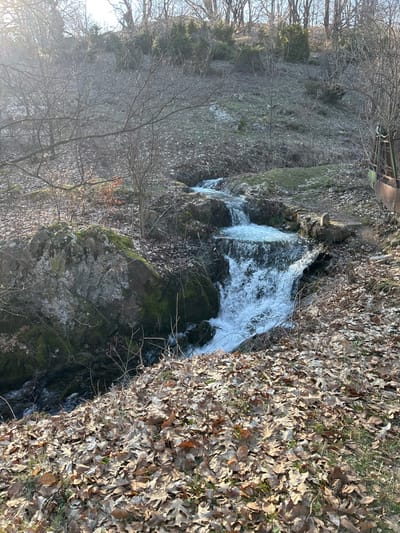 This image displays a natural landscape in Ichera, Bulgaria, likely during late autumn or early spring. A narrow stream flows from the upper center to the lower left, cascading over several small, turbulent waterfalls formed by moss-covered rocks. The immediate foreground and stream banks are thickly covered with dry, light brown deciduous leaves, predominantly oak, with occasional green sprouts. Large, moss-covered boulders border the stream on the left. On the right bank, a rudimentary stone structure is visible, adjacent to a partially obscured, rusted metal object. The background features a steep, wooded hillside populated by bare deciduous trees and scattered evergreen shrubs, indicating a dormant vegetative period. The scene is devoid of human or animal presence, actions, or interactions.