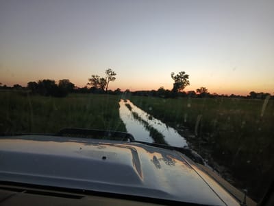 The image depicts a view from inside a vehicle moving along a flooded dirt track in a rural area, likely near Nwanaeanoka, Botswana. The sky is at dusk, with a gradient of orange and pink hues blending into a light blue overhead. Tall grass lines the track on either side, punctuated by scattered trees silhouetted against the sunset. The track itself is submerged in water, reflecting the sky and surrounding vegetation. The hood of the vehicle is visible in the foreground, also reflecting the sunset. There are no people visible in the image. The scene suggests a remote location and time of day with diminished lighting conditions.