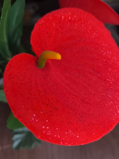 This is a close-up, macro photograph of a bright red artificial flower, possibly an anthurium, with a yellow spadix emerging from the center. The flower's surface is textured and appears to have a glittery or speckled finish. Green leaves are visible in the blurred background, along with a hint of a wooden surface. The location in Katagan, Uzbekistan, is not discernible from the image itself.