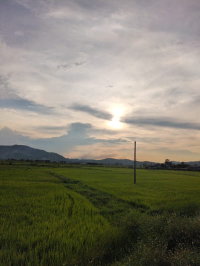 This is a photograph of a rural landscape in Kỳ Khang Commune, Vietnam, during what appears to be either sunrise or sunset. The foreground is dominated by a vibrant green rice paddy field, with subtle tire tracks indicating recent agricultural activity. A single wooden post stands prominently in the middle ground, breaking the expanse of the field. Beyond the field, a line of trees and low-lying buildings mark the edge of a settlement, with rolling hills and mountains forming the backdrop. The sky is filled with a mix of clouds, with the sun peeking through, casting a soft, diffused light over the scene. The overall impression is one of tranquility and natural beauty.