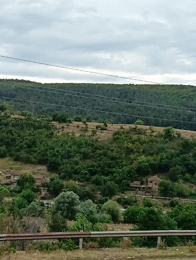 A wide shot captures a hilly, vegetated landscape under an overcast sky. In the foreground, a section of a rusty metal guardrail runs horizontally across the bottom of the frame. Behind the guardrail, the ground is covered in dry grass and sparse green vegetation.

The midground reveals a rolling hillside densely covered in various shades of green trees and bushes. Some patches of dry, brown earth are visible between the foliage. Several small, rustic buildings are scattered across this slope, appearing as a small settlement. One building, a brick structure with a reddish-brown roof and a tall, narrow window, is particularly noticeable. Other structures appear to be in disrepair, with visible roofing and walls. A dirt road or path winds through the settlement.

The background is dominated by a large, forested hill with a dense canopy of dark green trees, likely coniferous. Several sets of parallel power lines stretch horizontally across the mid-background and background, crossing the forested slopes. The sky above is a muted grey, filled with layers of clouds. The scene is indicative of a rural setting, possibly in or around Gabare, Bulgaria, given the natural landscape and the presence of small rural dwellings. There are no people or animals visible in the image.