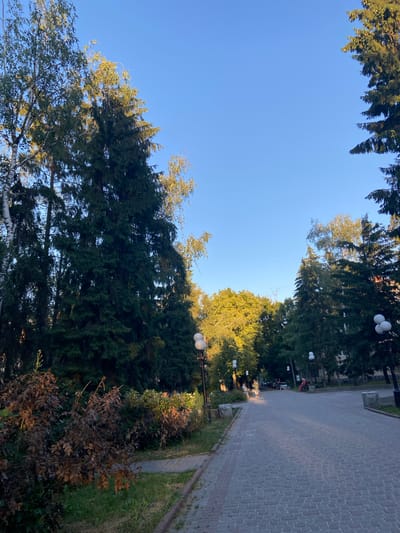 The image depicts a scene in a park or public garden. Tall, lush green trees, including evergreens and deciduous trees with light-colored bark, dominate the left side of the frame, reaching towards a clear blue sky. The right side of the image features a paved walkway made of interlocking grey bricks, bordered by grass and some shrubbery. A few white, spherical lamps on poles are visible along the walkway, suggesting it's a path designed for evening strolls or a park setting. In the distance, there are hints of buildings and more trees.

The lighting suggests it is daytime, likely morning or late afternoon, given the clear sky and the way sunlight filters through the trees, casting a warm glow on some of the foliage. There are a few small, dark shapes in the sky that might be birds. Along the walkway, some people are visible in the distance, appearing to be walking or sitting, indicating a peaceful, public space. One person is wearing a red garment. The overall mood is tranquil and serene, characteristic of a pleasant outdoor environment. The image does not contain any visible text. The location context provided is Nyzhni Mlyny, Ukraine.