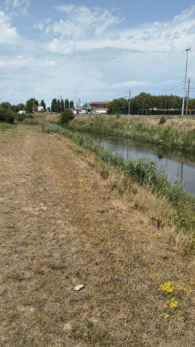 The image shows a canal in Calais, France, with dry grass on the left bank and reeds on the right bank. The canal water reflects the sky, which is partly cloudy with white cumulus clouds. In the background, across the canal, there is a road with some vehicles, trees, and buildings. A white trash item is visible on the dry grass in the foreground.