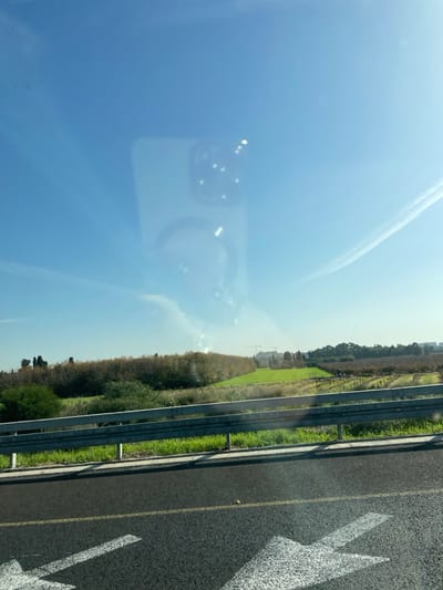 The image depicts an outdoor landscape viewed through a reflective surface, likely a vehicle window, located in or near Kfar Shmaryahu, Israel. The upper two-thirds of the frame show a clear blue sky with faint white contrails. A distinct reflection of a white smartphone with multiple camera lenses and a circular grip accessory is prominently superimposed on the sky and upper landscape.

The lower third of the image shows a dark asphalt road surface. White directional arrows, indicating a turn or merge to the left, are painted on the asphalt in the foreground. A metallic guardrail, consisting of two horizontal bars supported by vertical posts, extends horizontally across the frame above the road. Green grass is visible beneath and behind the guardrail.

Beyond the guardrail, the landscape features a gentle grassy incline leading to a dense line of trees with brownish-green foliage. Further to the right, beyond the tree line, are additional cultivated fields, some green and others appearing darker. In the distant background, structures indicative of a town or settlement are visible, along with multiple large construction cranes against the horizon. No individuals or specific actions are discernible within the frame.