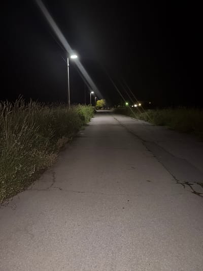 The image depicts a nighttime scene on a paved pathway in Smyadovo, Bulgaria. A street lamp on the left illuminates the scene with a bright beam of light that cuts across the dark sky. The pathway, cracked and weathered, stretches into the distance, bordered by tall, dry grass on the left and a low hedge on the right. In the background, more street lights are visible, as well as distant building lights. The environment appears to be a rural or semi-rural area on the outskirts of the town, likely a park or a less-trafficked road, given the vegetation and the sparse lighting. No people or animals are visible in the frame.