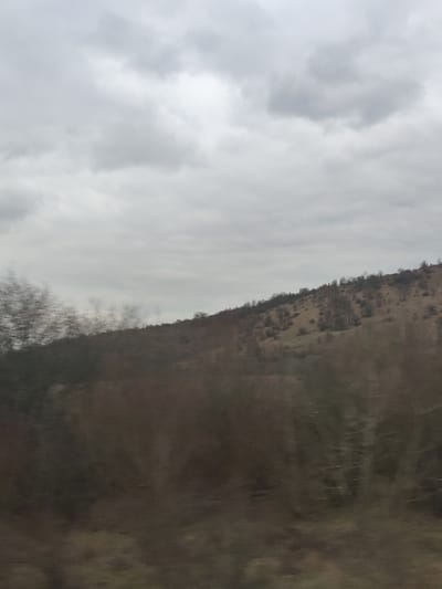 The image depicts a rural landscape near Negushevo, Bulgaria, under an overcast sky. Approximately the top third of the frame consists of a dense, uniform layer of grey and white stratus clouds. The middle ground is dominated by a gentle hill, sloping upwards from left to right, covered in dry, light brown grasses and sparse, leafless deciduous trees and shrubs. The trees appear to be dormant for winter or late autumn. The lower third of the image shows a foreground of dense, blurred vegetation, primarily dark brown and green, indicative of trees or bushes, heavily motion-blurred horizontally, suggesting the photograph was taken from a moving vehicle. No human subjects, man-made structures, or distinct actions are visible within the scene. The lighting is soft and diffused, consistent with an overcast day.
