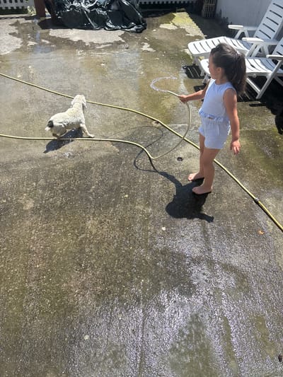In Enevo, Bulgaria, on a sunny day, a young girl with dark hair pulled into a ponytail, wearing a blue and white striped sleeveless romper, is holding a yellow garden hose. Water sprays from the end of the hose onto a wet concrete ground. A small, light-colored dog with a dark marking on its rear end is standing on the wet concrete, facing away from the girl, with water hitting its back. In the background, white lounge chairs are visible on the patio. The ground is partially covered with water, reflecting the sunlight.
