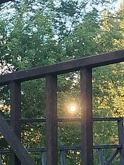 This is a vertical, medium shot photograph of a sunburst visible through the wooden railing of a balcony or deck, with lush green trees in the background. The sun is a bright, white orb with visible rays emanating outwards, creating a lens flare effect. The railing is made of dark, weathered wood, with vertical posts and horizontal beams creating a geometric pattern. The trees behind the railing are dense with green foliage, interspersed with patches of sunlight. The setting appears to be outdoors, possibly in a residential area or park. The photograph was taken from a slightly elevated position, looking downwards and through the railing. The scene is illuminated by natural sunlight. The location is the city of Oberlin, United States.