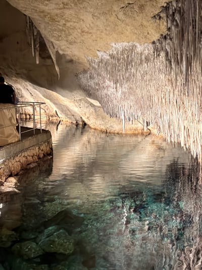 The image depicts the Cuevas del Drach, located in Manacor, Spain. It is a cave system with a subterranean lake, possibly Lake Martel. The scene is mostly lit by artificial light. The left side of the image shows the cave's limestone formations, including stalactites. In the center, a ladder and a stone pathway have been installed for visitors. The right side shows the surface of the lake, reflecting the cave ceiling. The water is clear and has a greenish tint. The surface of the water is disturbed, creating ripples.