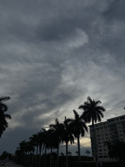The image depicts a street scene in Delray Beach, Florida, USA, under a heavy, overcast sky. A row of silhouetted palm trees lines the right side of the street, their fronds casting shadows. A multi-story building with visible windows and balconies stands behind the palm trees. The street is visible in the lower left portion of the image with a few vehicles and traffic signals. The overall lighting suggests either early morning or late afternoon, with the sun obscured by clouds.