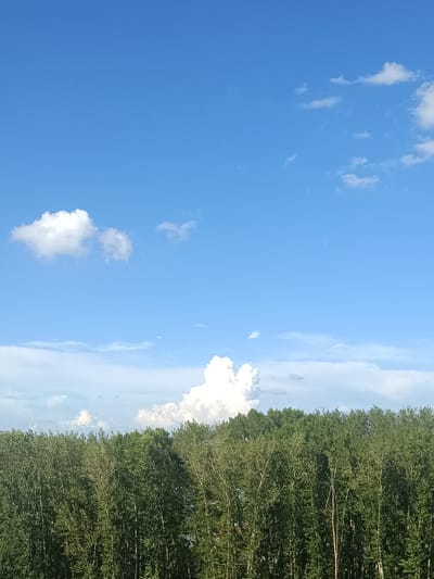 This media file depicts a natural scene of a lush green forest under a bright blue sky with scattered white clouds. The image is dominated by the vibrant green foliage of a dense forest, with the tops of numerous trees filling the lower half of the frame. The trees appear to be deciduous, with full, leafy canopies. The sky above is a clear, vivid blue, indicative of a sunny day. A few fluffy white clouds drift across the expanse, with one particularly large, cumulus cloud formation prominent in the upper center of the image. The lighting suggests it is daytime, likely mid-morning or afternoon, given the bright, even illumination across the scene and the blue hue of the sky. There are no people or man-made objects clearly visible, emphasizing the natural setting. The overall impression is one of a serene and pleasant day in a natural environment, possibly in a rural or forested area. Based on the provided location context, this scene is likely situated in Tatysh, Russia.