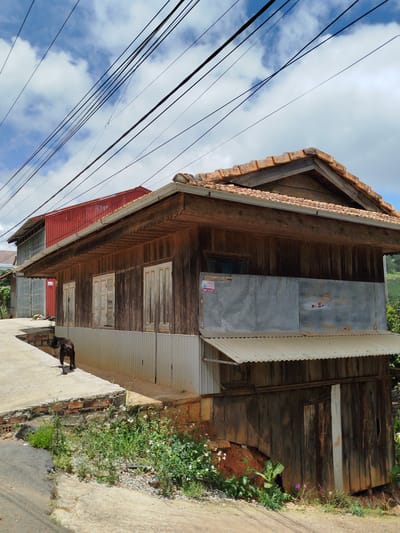 A dark-colored dog walks on a concrete path in front of a weathered wooden house with a red tile roof and a red corrugated metal addition. The house has several windows with white shutters, and a corrugated metal awning extends from the main structure. Electrical wires crisscross above the scene against a cloudy blue sky. The environment appears to be rural, with vegetation growing along the path and surrounding the base of the house, suggestive of the village of Xuân Sơn, Vietnam. The ground is a mix of concrete and dirt, with some loose gravel visible.