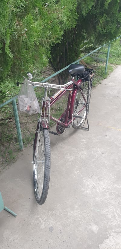 A maroon bicycle is parked on a concrete path next to a light green metal fence. The bicycle has a black seat, a basket on the rear, and a clear plastic bag filled with white items hanging from the handlebars. The bicycle is positioned at an angle, with the front wheel turned slightly to the left. Behind the bicycle is a dense green shrub, and beyond that, more greenery and trees. The ground is a mix of dirt and concrete. The scene appears to be outdoors in a public area, possibly a park or a residential area. This image was taken in Rooppur, Bangladesh.