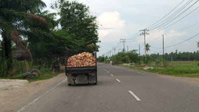 The image depicts a road scene in Kruengseupeng, Indonesia. A flatbed truck laden with coconuts is traveling on the right side of a paved road. To the left of the road, there are palm trees, dense foliage, and some discarded tires. On the right side of the road, there are utility poles with overhead wires, a distant motorcycle rider, and cultivated fields. The sky is overcast with scattered clouds.