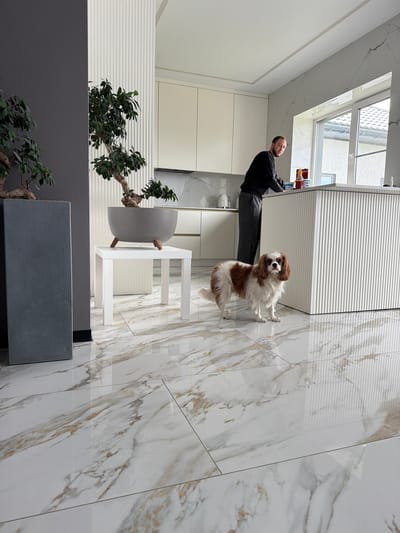 A man in a black sweater and gray pants is standing in a kitchen in what is probably a house, looking into an open cabinet, while a brown and white King Charles Spaniel dog sits on a marble-tiled floor nearby. To the left of the man and dog, there is a small white table, and to the left of the table is a gray container with a bonsai tree inside. Behind the gray container, there is a gray wall with another bonsai tree in front of it. The man and dog are in a kitchen area with white cabinets and marble-tiled floors. The photograph was taken at an angle. There is no clear indication of the photograph being taken in the city of Молодежный, Russia.
